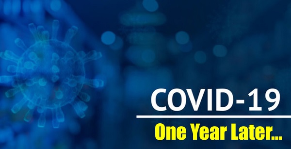 COVID-19 Pandemic: One Year Later