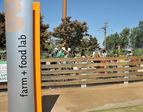 Visit the Farm + Food Lab at the Great Park