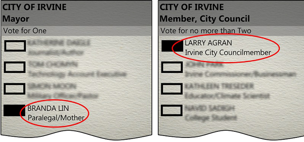 Ballots Have Arrived! ICNV Endorses Branda Lin for Mayor & Larry Agran for City Council
