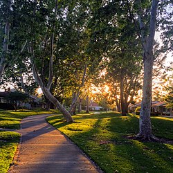 Irvine Ranked 6th Best in the Nation for Access to Parks