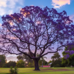 Enter Mayor Agran’s Tree Photo Contest