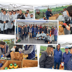 Irvine Community Comes Together for Operation “Bridge the Gap”