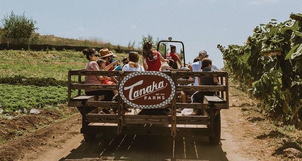 Tanaka Farms: Feeding Today’s & Tomorrow’s Generations While Remembering the Lessons of the Past