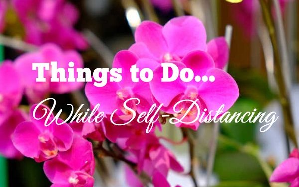 Things To Do While Self-Distancing