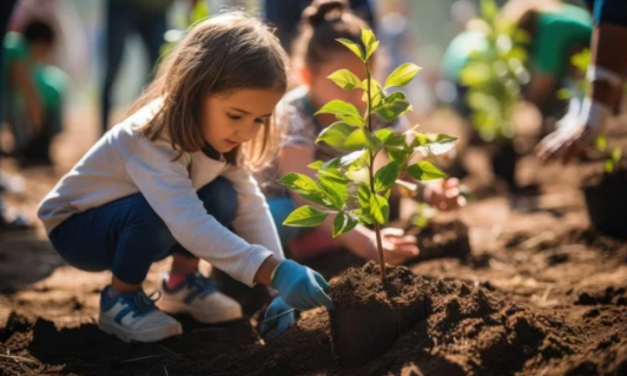 City of Irvine Introduces Two Community Tree-Planting Programs